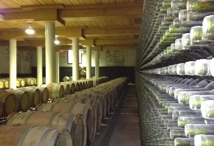 Отель Chateau Vinasoro