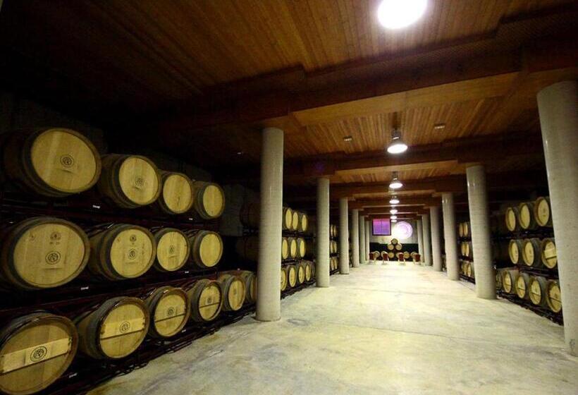 酒店 Chateau Vinasoro