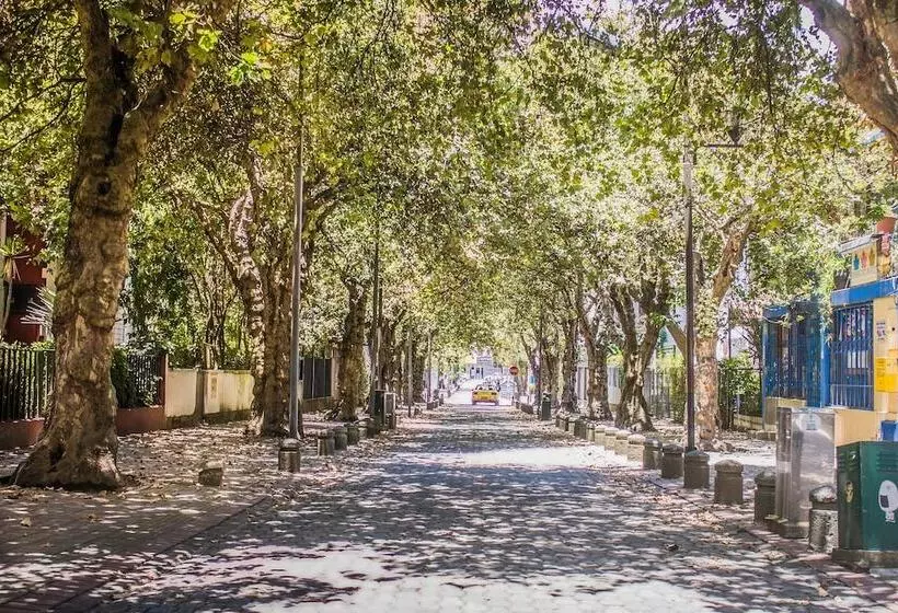 Hotel Hostal Posada Del Maple