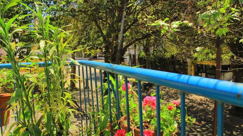 Hotel Hostal Posada Del Maple