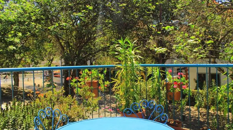 Hotel Hostal Posada Del Maple