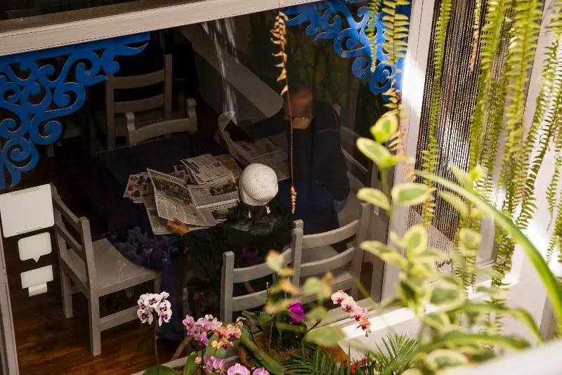 Hotel Hostal Posada Del Maple