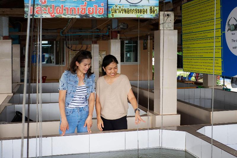 Hotel Sheraton Hua Hin Pranburi Villas