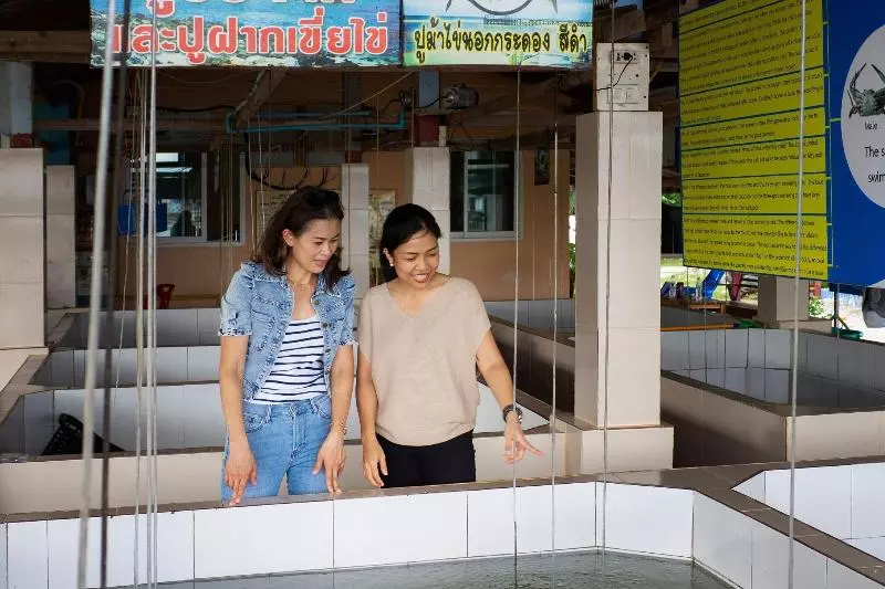 Отель Sheraton Hua Hin Pranburi Villas