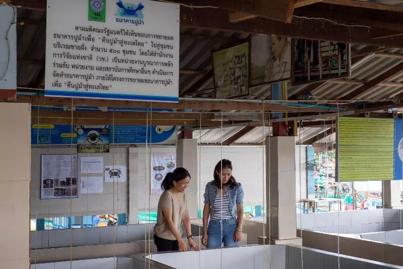 Отель Sheraton Hua Hin Pranburi Villas