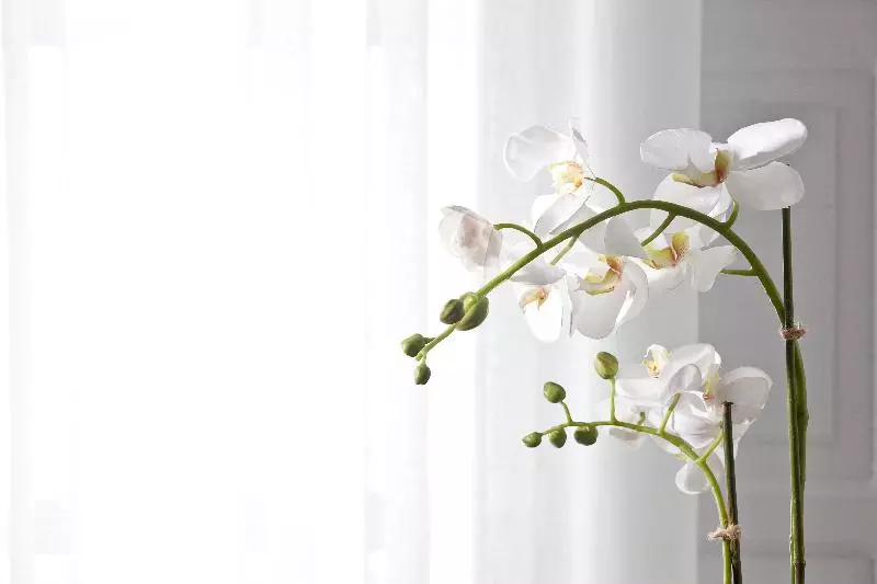 酒店 Belvedere Suites