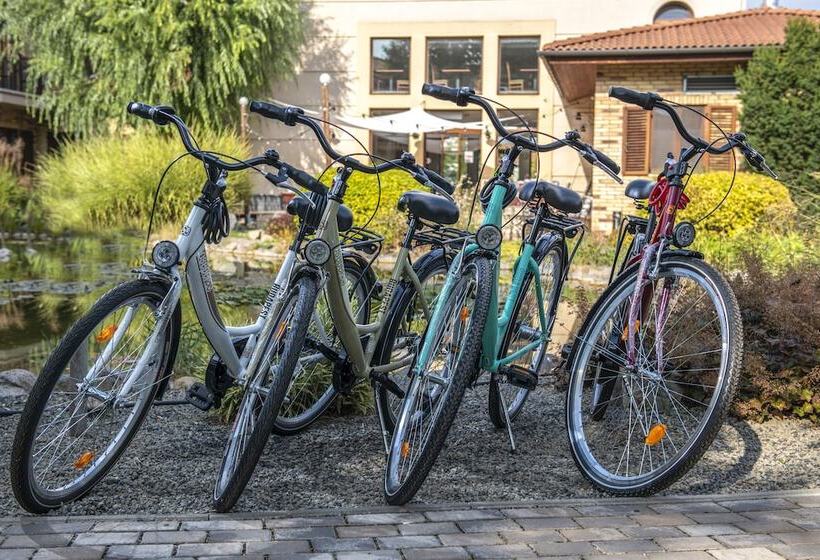 Budapest Airport Hotel Stáció Wellness & Konferencia