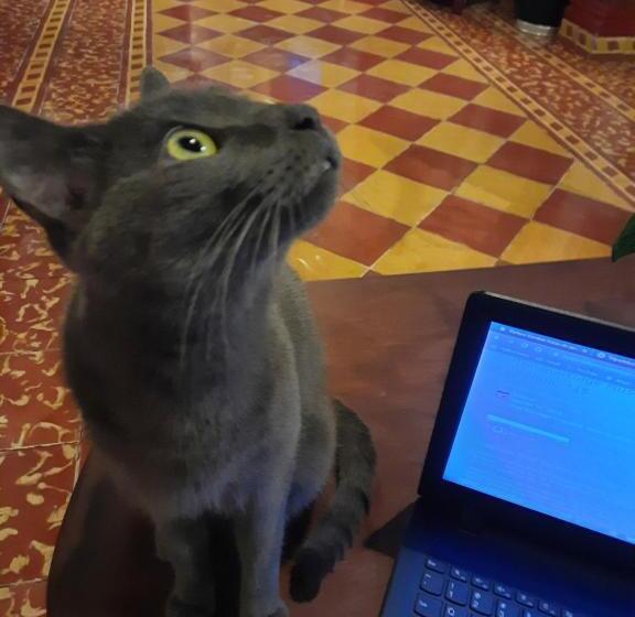 هتل La Posada Del Doctor