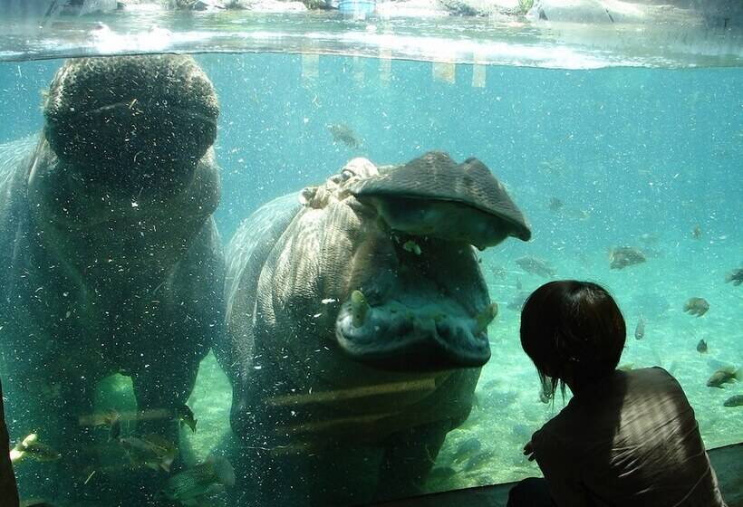 Apa Hotel Osaka Tanimachi 4chome Ekimae