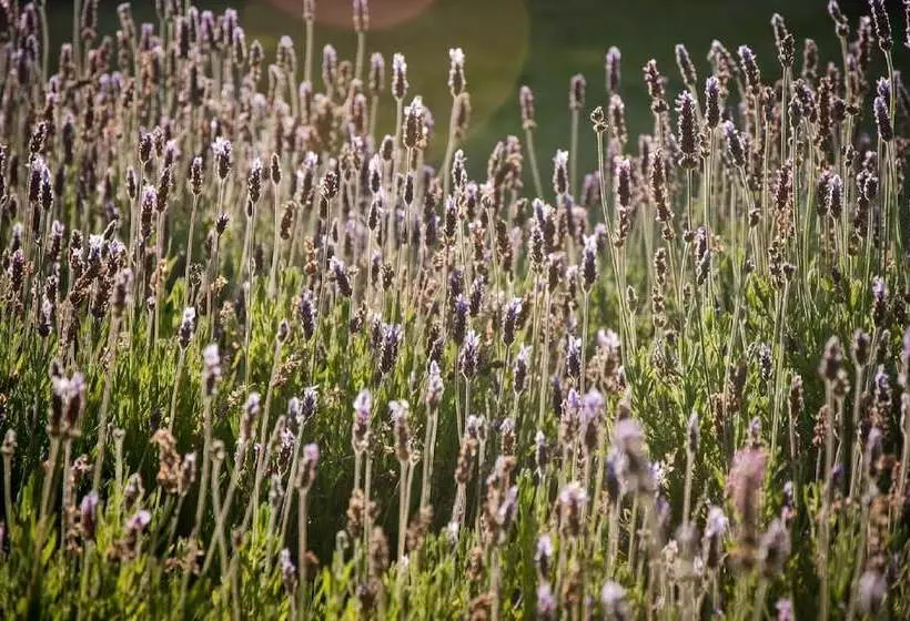 ホテル At Winkfield House