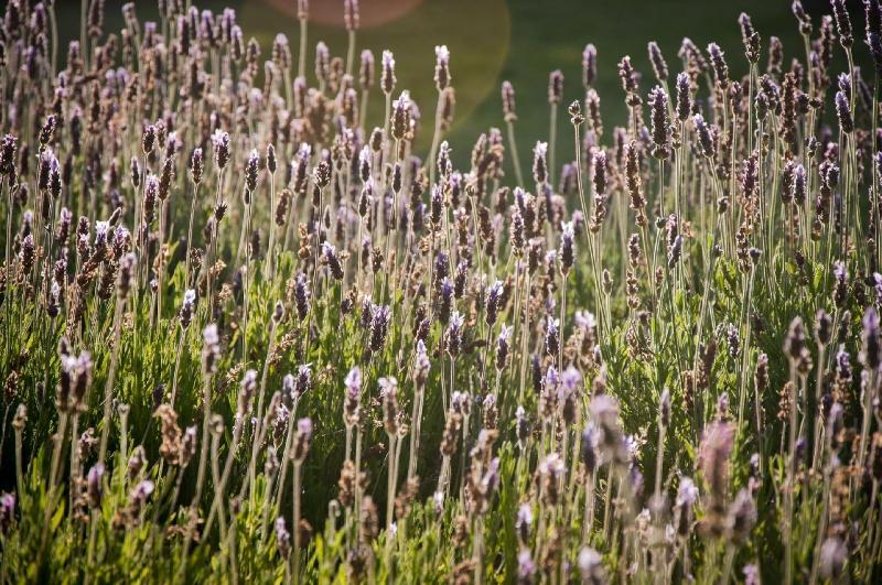 호텔 At Winkfield House