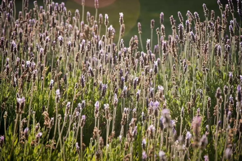 ホテル At Winkfield House