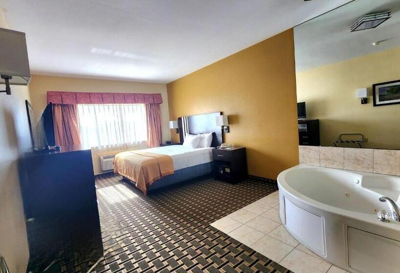 هتل Days Inn & Suites By Wyndham Sam Houston Tollway