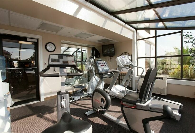 فندق Comfort Suites University