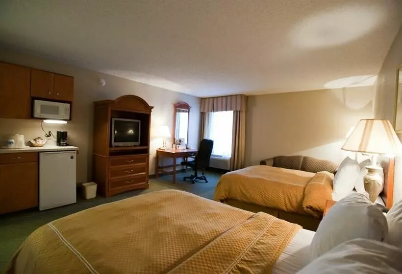 酒店 Comfort Suites University