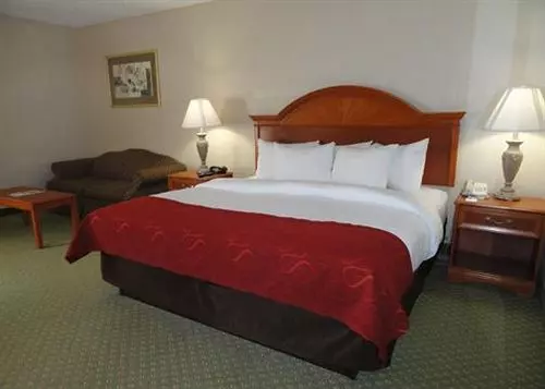 酒店 Comfort Suites University