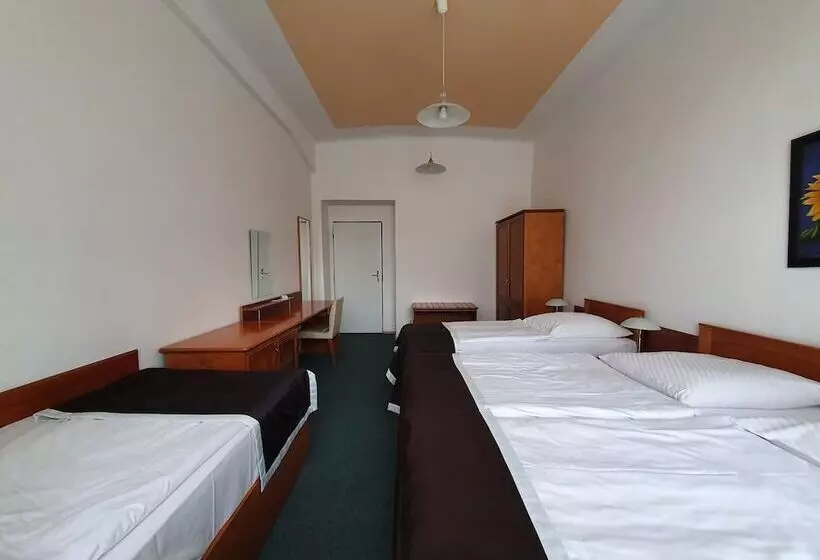 هتل Pension Jana Domov Mládeže