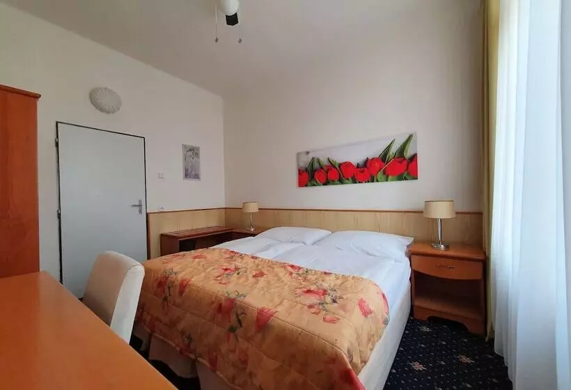 هتل Pension Jana Domov Mládeže