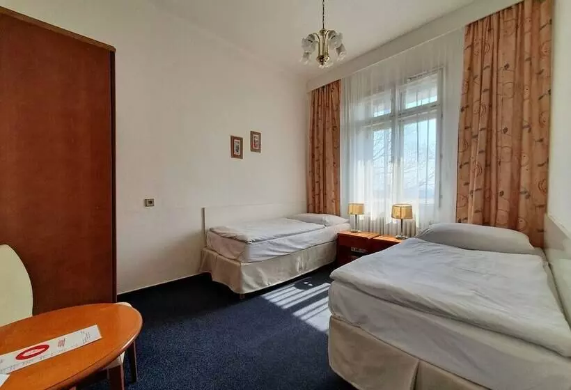 هتل Pension Jana Domov Mládeže