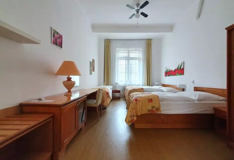 هتل Pension Jana Domov Mládeže