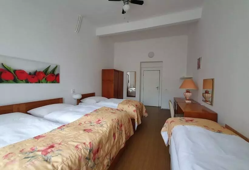 هتل Pension Jana Domov Mládeže