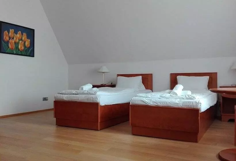 هتل Pension Jana Domov Mládeže