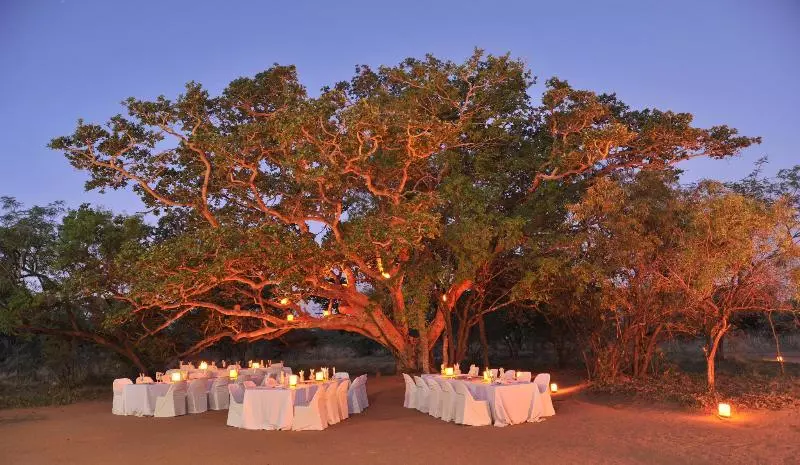 Отель Mabula Game Lodge