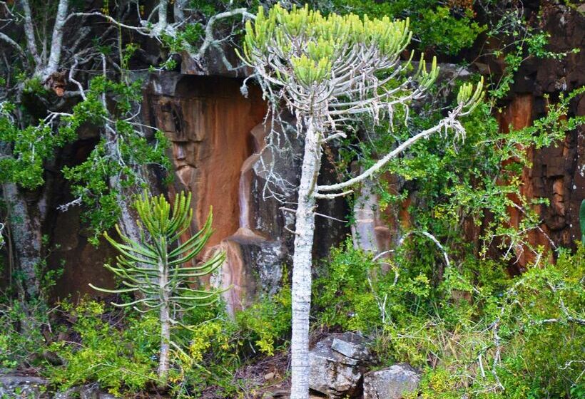 ホテル Premier Resort Mpongo Private Game Reserve