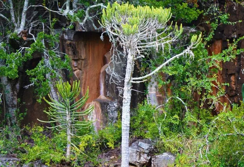 酒店 Premier Resort Mpongo Private Game Reserve