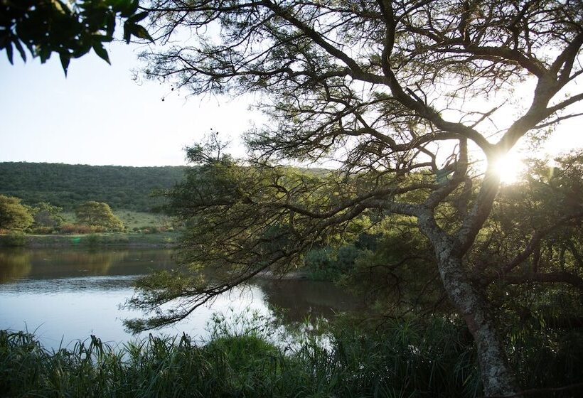 ホテル Premier Resort Mpongo Private Game Reserve