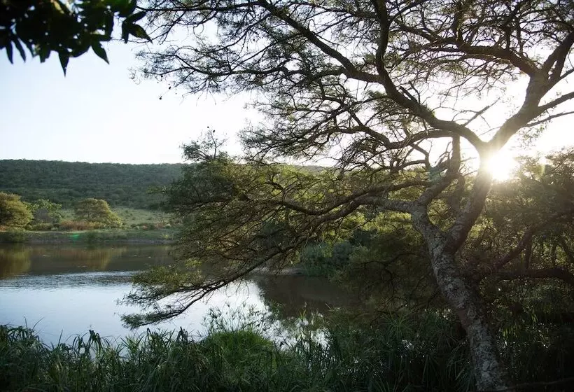 酒店 Premier Resort Mpongo Private Game Reserve