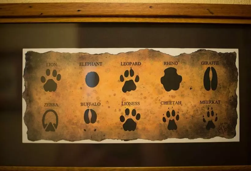 酒店 Premier Resort Mpongo Private Game Reserve