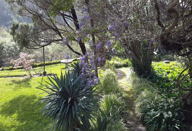 فندق Quinta De Sao Thiago