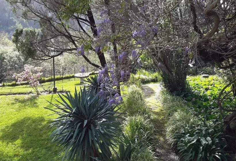 Hotel Quinta De Sao Thiago