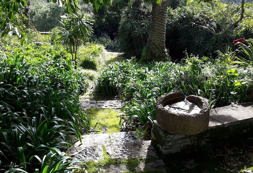 فندق Quinta De Sao Thiago