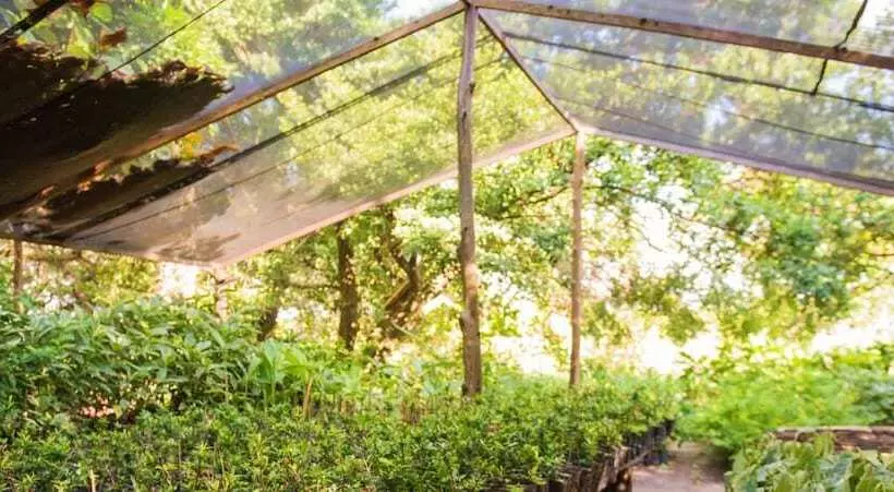 Vila Gale Eco Resort Do Cabo  All Inclusive