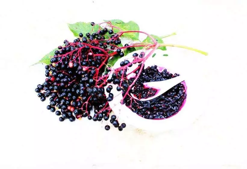 בית מלון כפרי Princess Lanassa