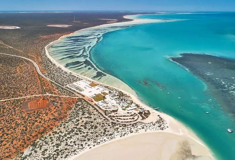 호텔 Rac Monkey Mia Dolphin Resort