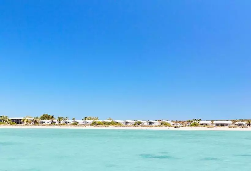 호텔 Rac Monkey Mia Dolphin Resort