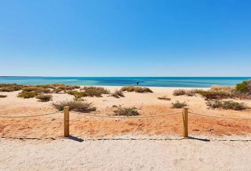 호텔 Rac Monkey Mia Dolphin Resort