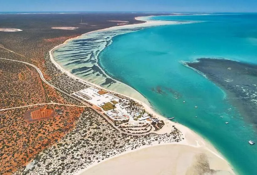 호텔 Rac Monkey Mia Dolphin Resort