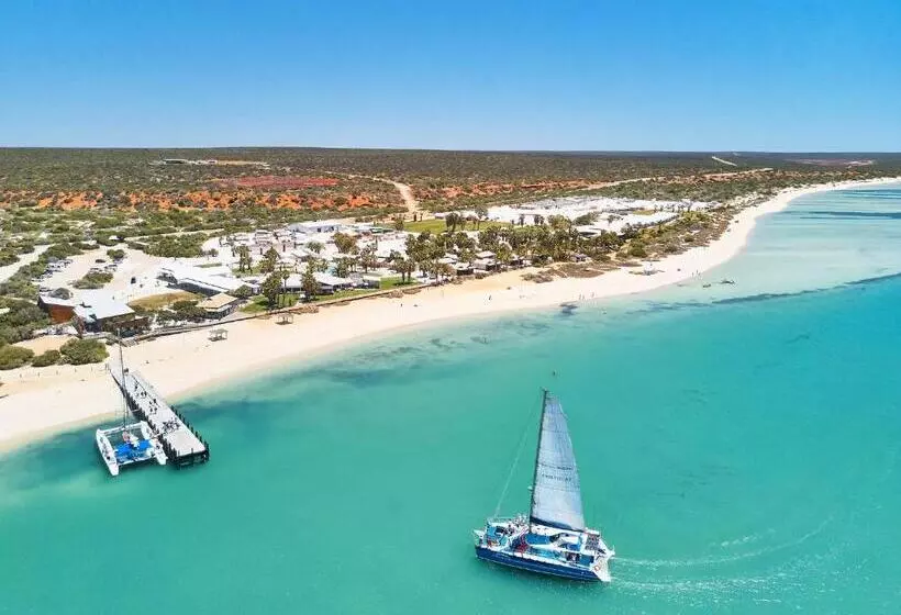 호텔 Rac Monkey Mia Dolphin Resort