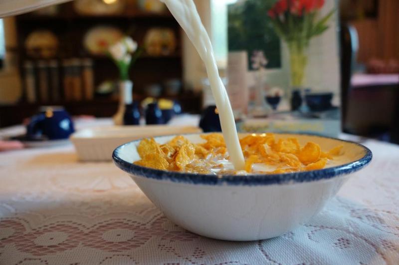 Hotel The Lawn Guest House Gatwick