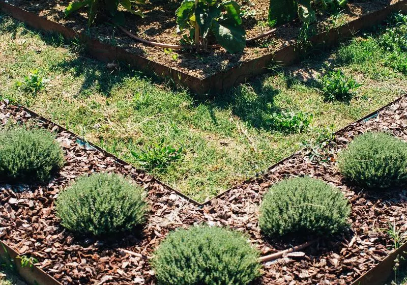 Отель Villa Abbondanzi Resort