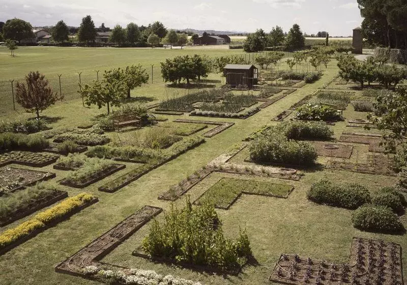 Отель Villa Abbondanzi Resort