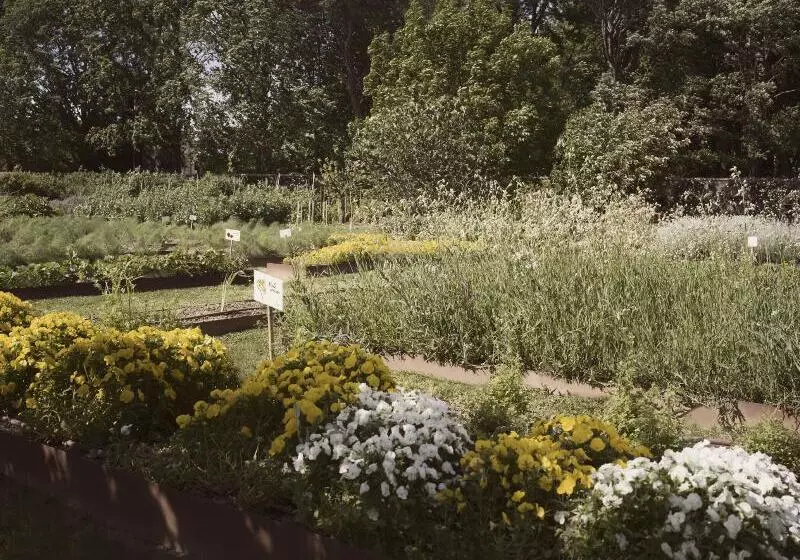 Отель Villa Abbondanzi Resort