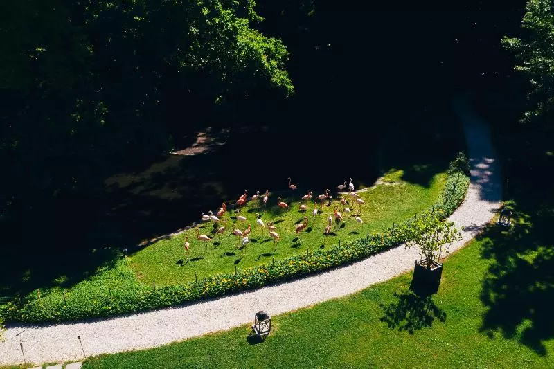 Отель Villa Abbondanzi Resort