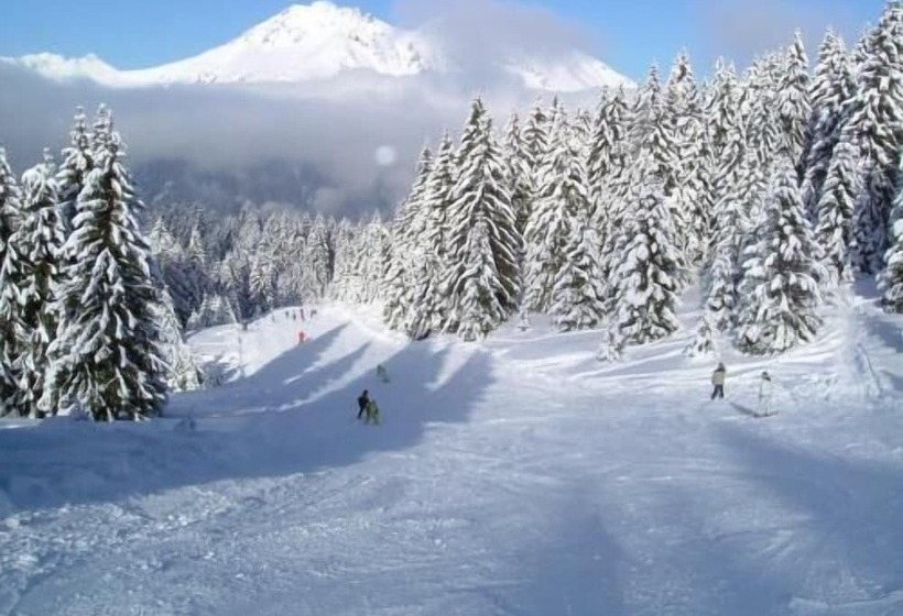 فندق Albergo Venturelli