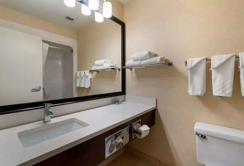 酒店 Best Western Cold Lake Inn