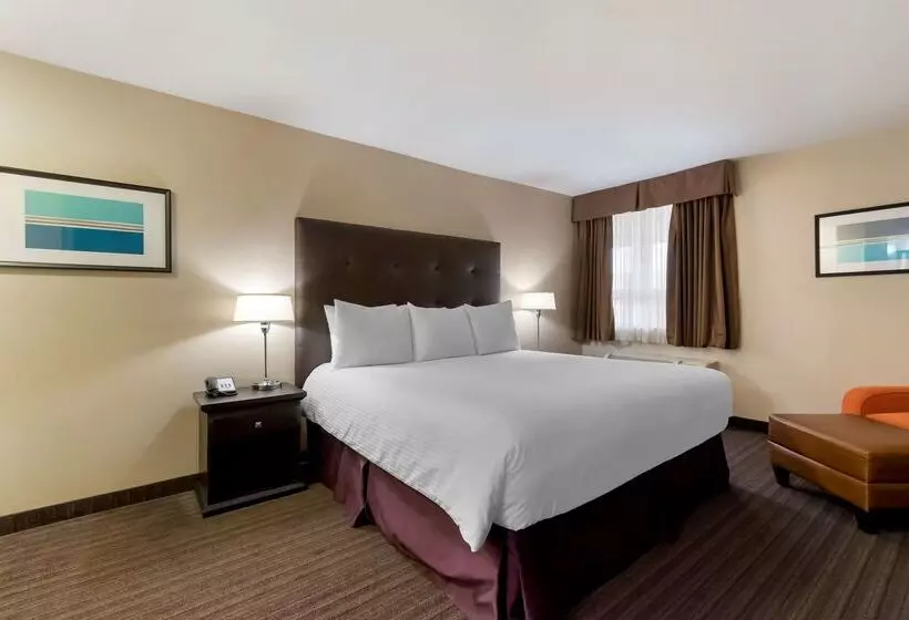 酒店 Best Western Cold Lake Inn